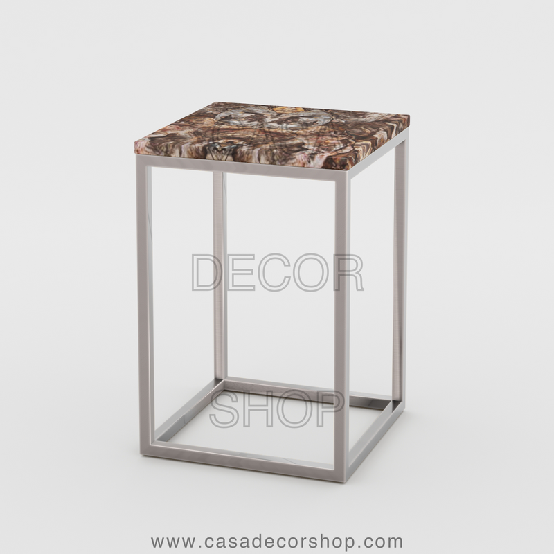 Petrified Wood Side Table