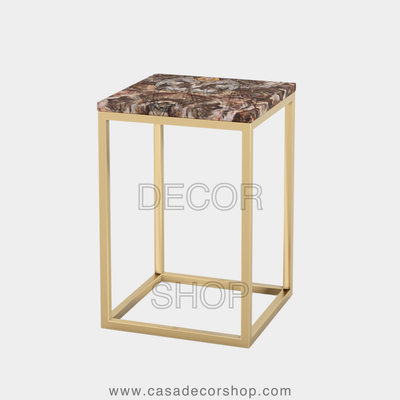 Petrified Wood Side Table