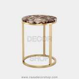 Petrified Wood Side Table