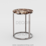 Petrified Wood Side Table