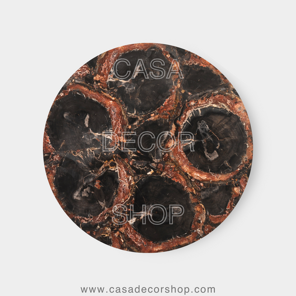 Black Petrified Wood Table Top