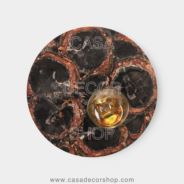 Black Petrified Wood Table Top